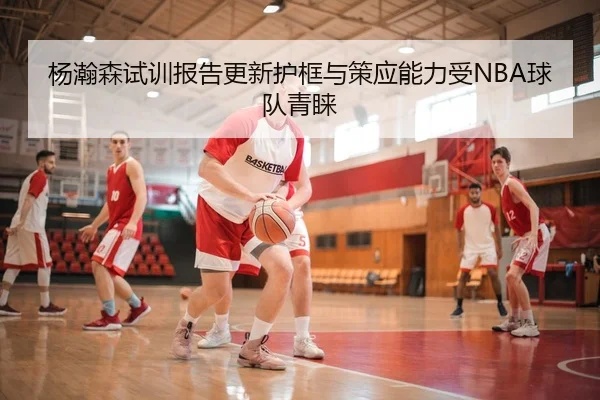 杨瀚森试训报告更新护框与策应能力受NBA球队青睐